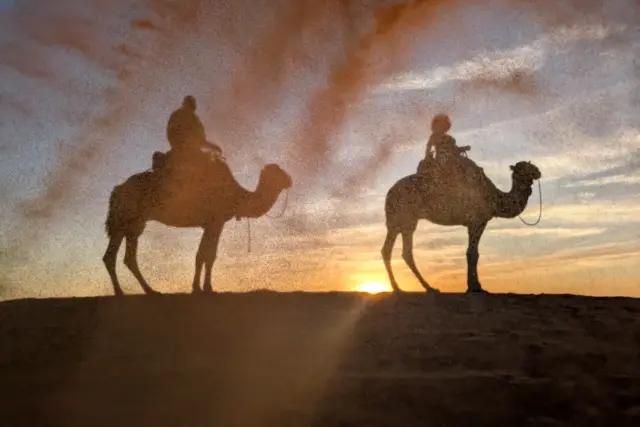Fila de camellos atravesando las dunas de Erg Chebbi, en Merzouga, al atardecer